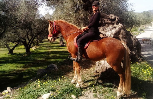Paseo a caballo por la Alpujarra - Foto 6