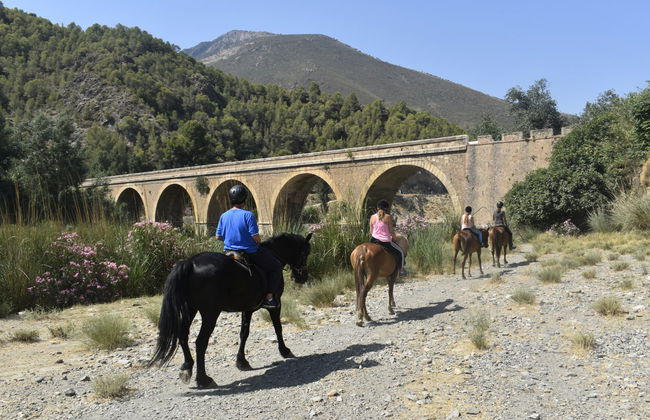 Paseo a caballo por la Alpujarra - Foto 5