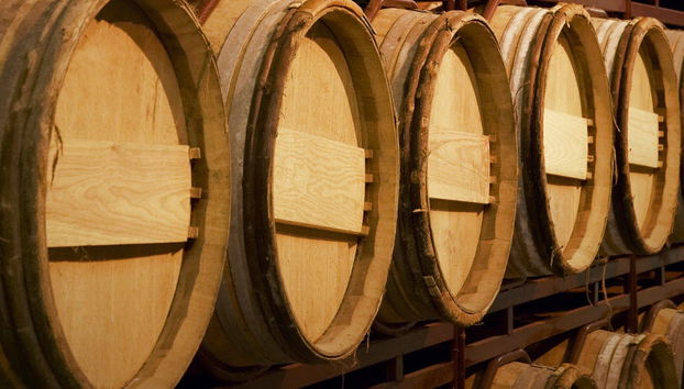 Visite de Bodegas Riojanas avec dégustation de vin - Photo 5