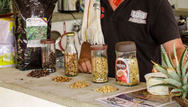 Visite-dégustation de café à Medellín - Photo 2