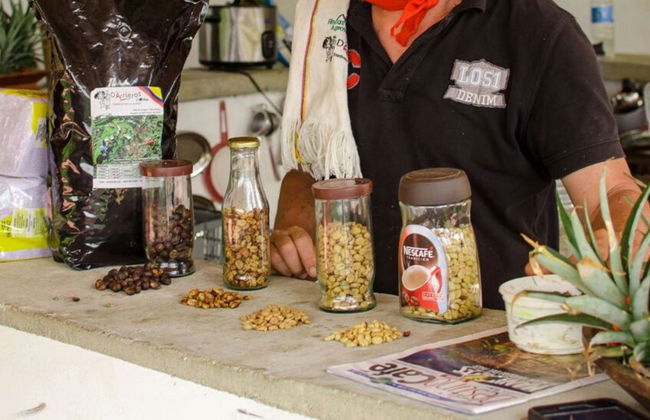 Medellin Coffee Tour - Foto 2