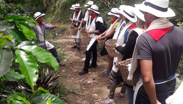Visite-dégustation de café à Medellín - Photo 3
