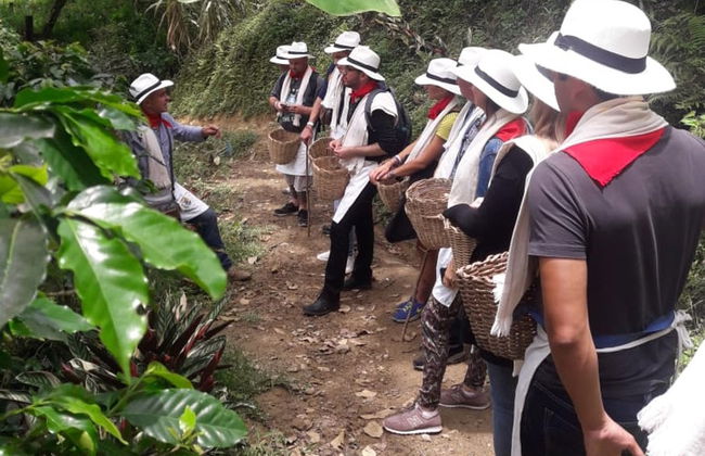 Medellin Coffee Tour - Foto 3