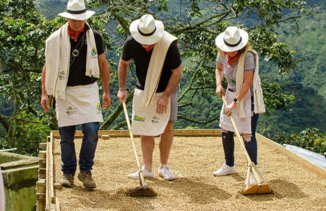 Medellin Coffee Tour - Foto 1