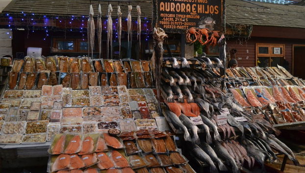 Puerto Varas and Puerto Montt Tour - Foto 2