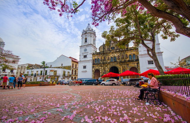 Panama City Private Layover Tour - Foto 5