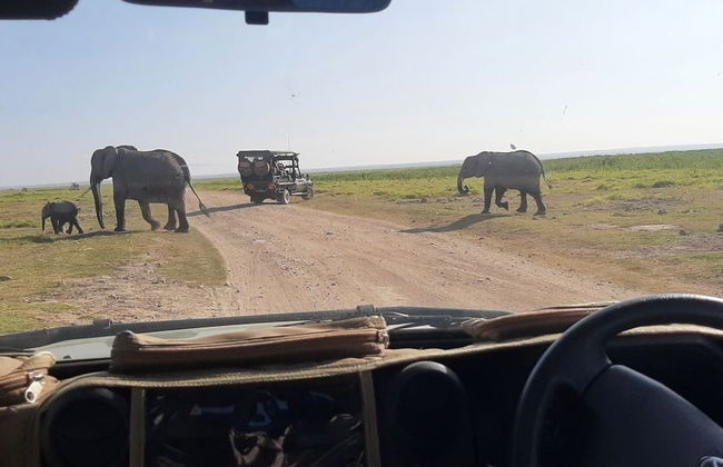 South Kenya Private Tour Package: 6 Days - Photo 3