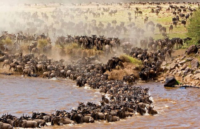 South Kenya Private Tour Package: 6 Days - Photo 2