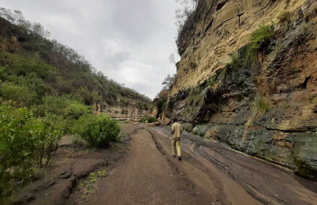 South Kenya Private Tour Package: 6 Days - Photo 6