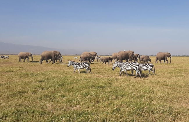 South Kenya Private Tour Package: 6 Days - Photo 8