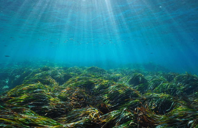 Catamaran Cruise with Barbeque - Photo 14