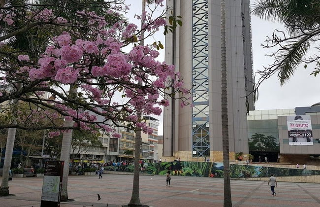 Tour panorámico privado por Armenia - Foto 6