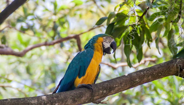 Pinchote Adventure Tour - Foto 3