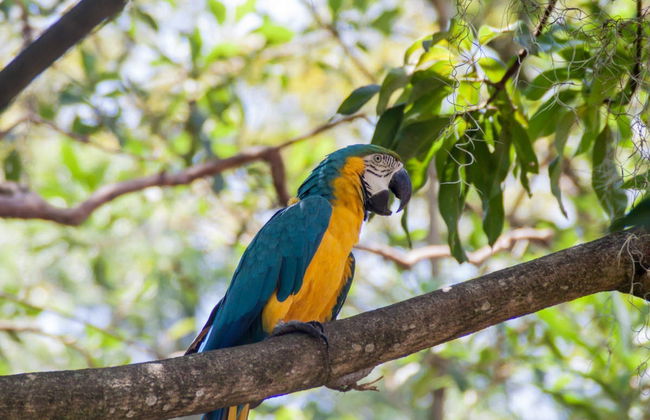 Excursion aventure à Pinchote - Photo 3