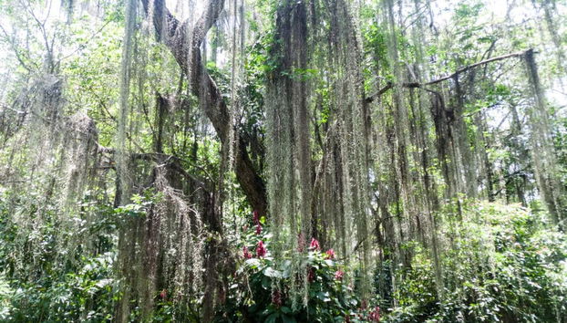 Pinchote Adventure Tour - Foto 2