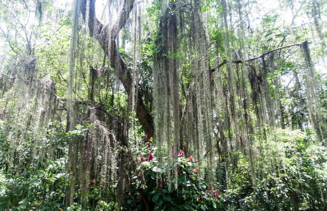 Excursion aventure à Pinchote - Photo 2