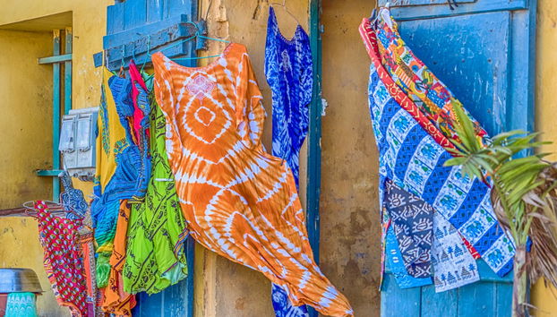 Excursión privada a la Isla de Gorea - Foto 2