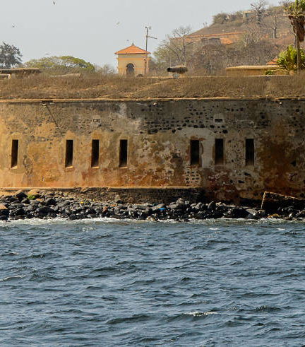 Foto de Excursión privada a la Isla de Gorea
