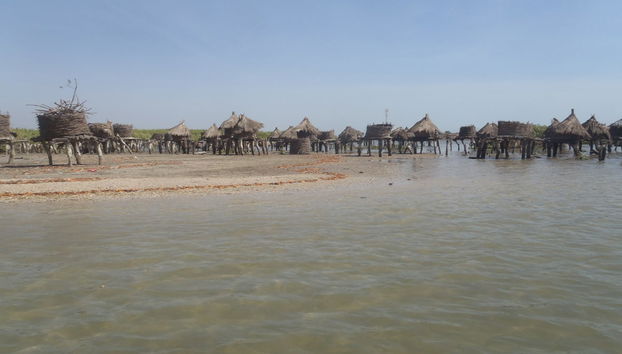 Excursión privada a Joal-Fadiouth y a un poblado serer - Foto 2