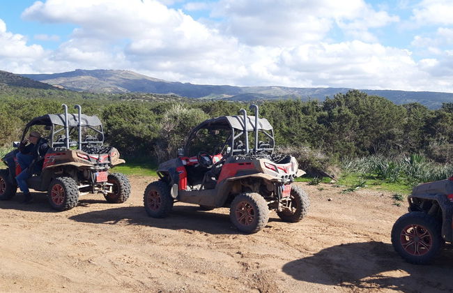 Tour in buggy del Parco nazionale di Akamas - Foto 2