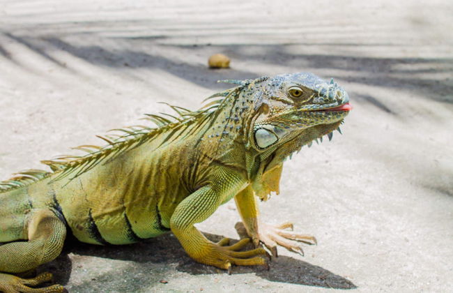 McBean Lagoon Hiking Tour - Photo 3