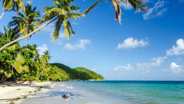 McBean Lagoon Hiking Tour - Foto 4