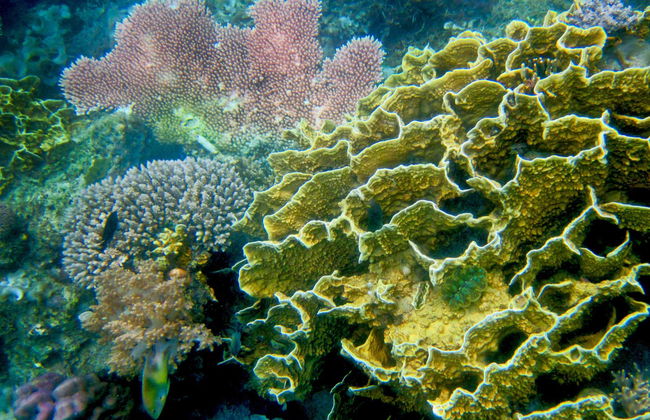 Tour pelo lago Kayangan, Lagunas Gemelas e Siete Pecados - Foto 5