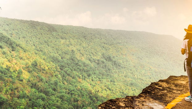 Filandia, Salento & Cocora Valley Excursion - Foto 5