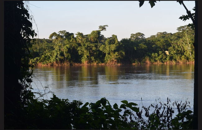 Ruta de 4 días de trekking por Puerto Maldonado - Foto 5