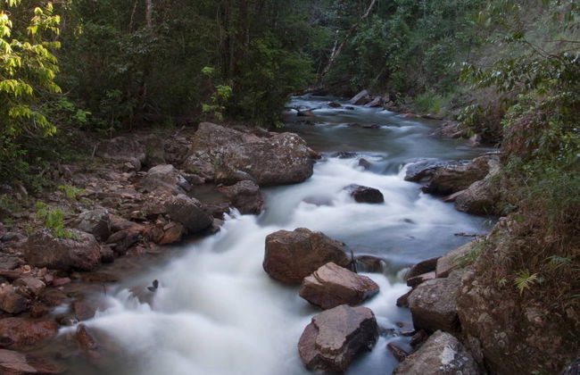 Excursión privada al Salto del Itiquira - Foto 7