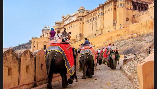 Amber Fort Private Half-Day Tour - Foto 4