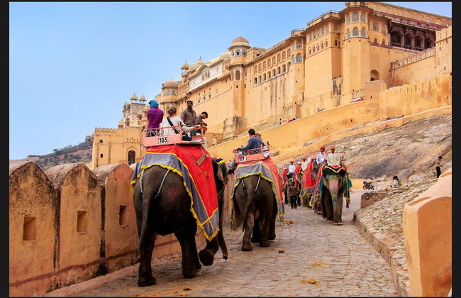 Amber Fort Private Half-Day Tour - Foto 4
