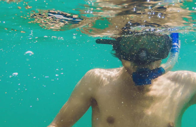 Snorkel en Koh Tao - Foto 2