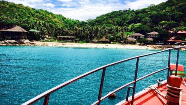 Snorkel en Koh Tao - Foto 5