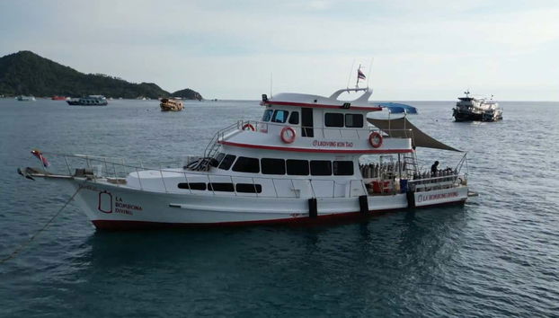 Snorkel en Koh Tao - Foto 4