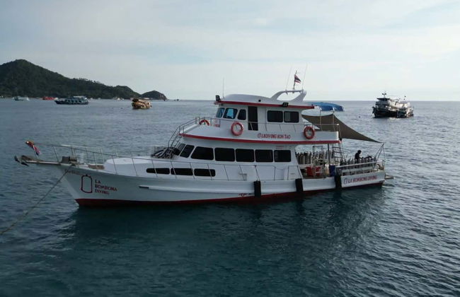 Koh Tao Snorkeling Tour - Photo 4