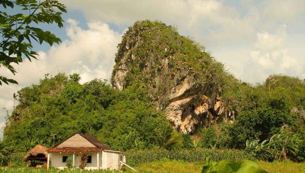 Viñales Zip Line Tour - Photo 5