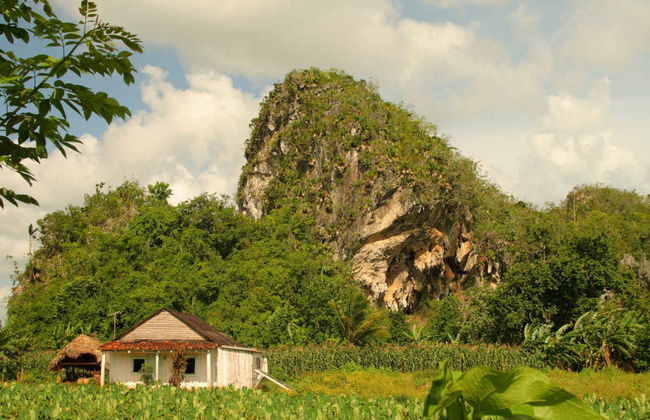 Viñales Zip Line Tour - Foto 4