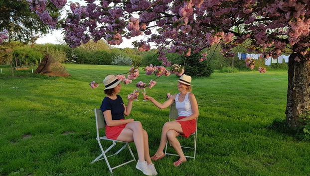 Loire Valley Wine Tour - Foto 5