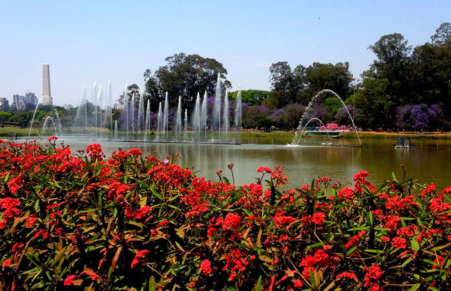 Excursión privada a São Paulo - Foto 3