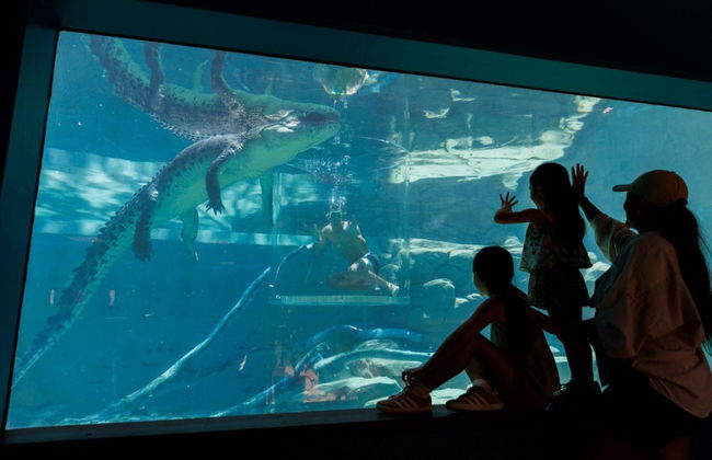 Entrada a la Crocosaurus Cove - Foto 4