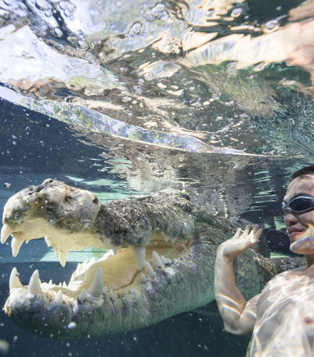 Foto de Entrada a la Crocosaurus Cove