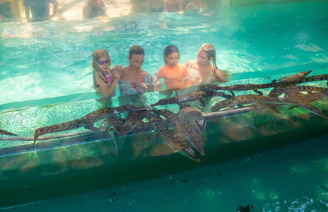 Entrada a la Crocosaurus Cove - Foto 6