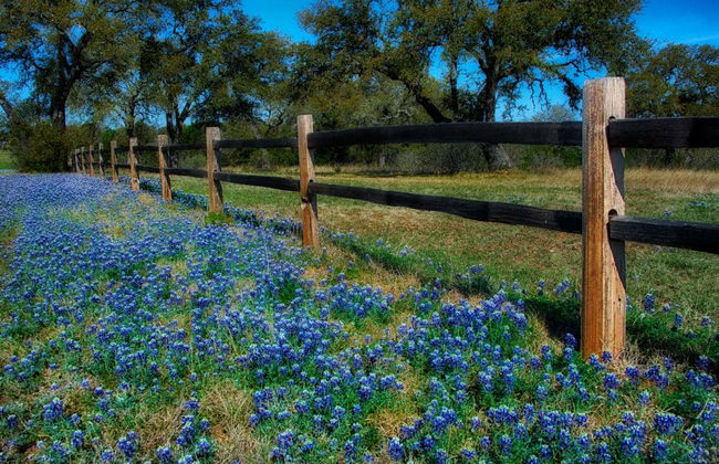 Tour por Texas Hill Country - Foto 6