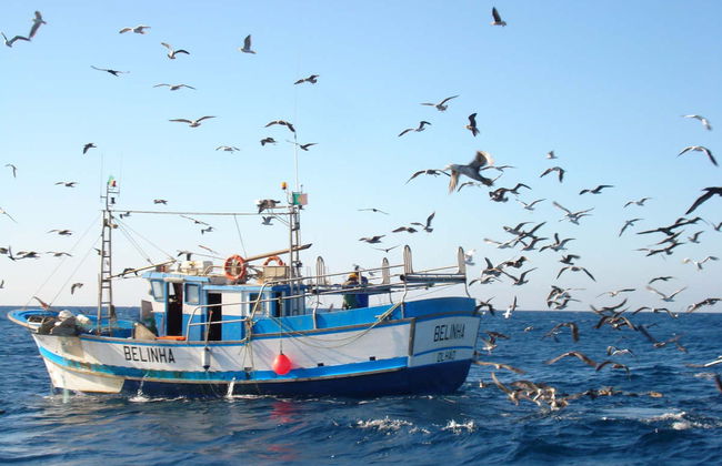 Alquiler de barco con patrón en Olhao - Foto 7