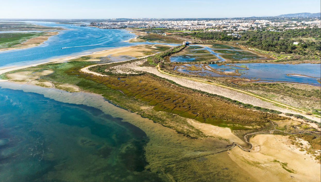 Alquiler de barco con patrón en Olhao - Foto 1