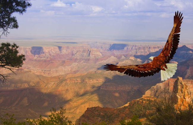 Grand Canyon Day Trip - Foto 5