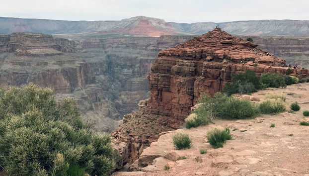 Escursione al Grand Canyon + Parco Nazionale di Joshua Tree - Foto 2