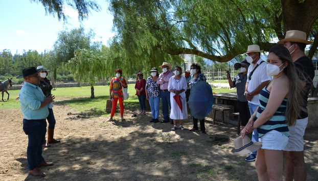 Tour por la hacienda de caballos
