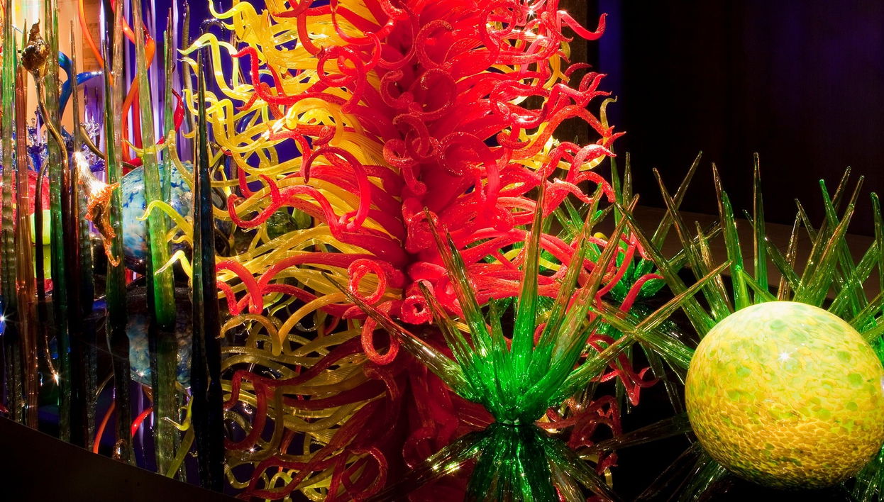 Tampa Bay CityPASS®